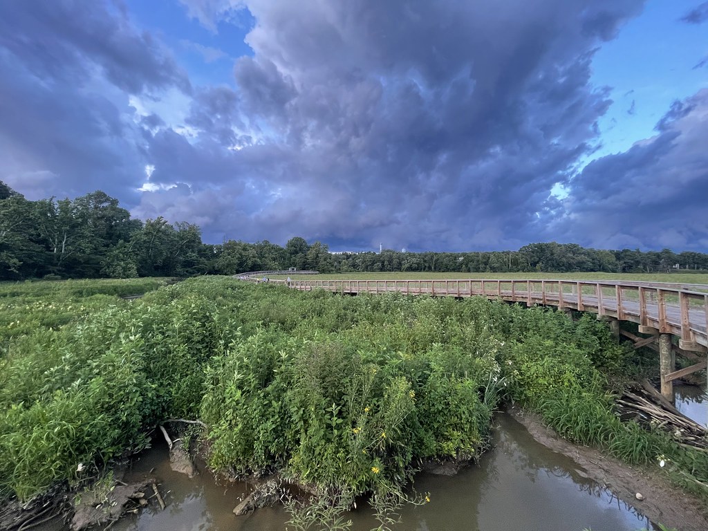 Wooden Neabsco Creek Boardwalk curves across green wetlands beneath a cloudy sky.